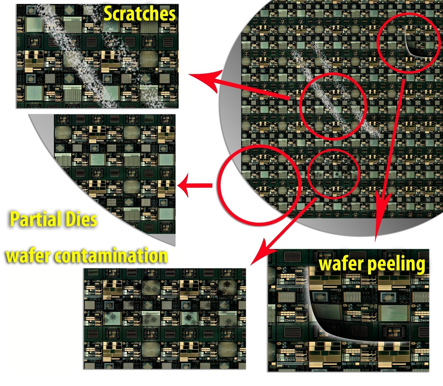 Macro-Defects-Detection-2.jpg